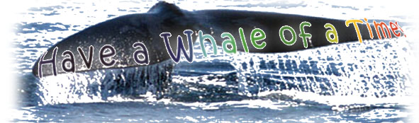 whale of a time workshop