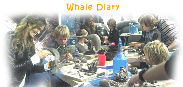 whale of a time workshops, whale diary