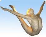 human body sculpture