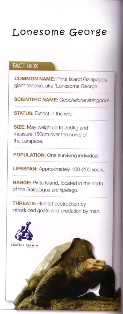 lonesomegeorge