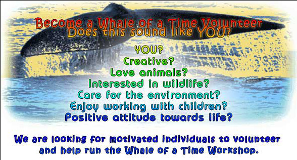 Whale of a Time Volunteers, volunteer, volunteers, volunteering, whale of a time volunteers, whale of a time volunteer